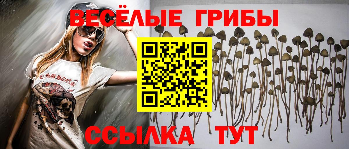 Псилоцибиновые грибы мицелий  Галлюциногенные грибы прущие грибы  Вход с VPN  Артём 